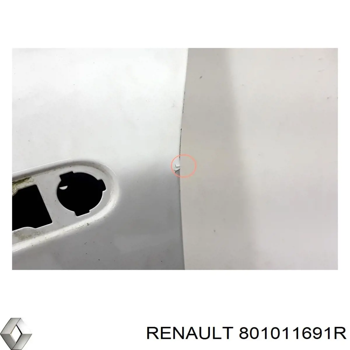 Compre 801011691R Renault (RVI) Porta dianteira esquerda