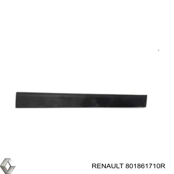 801866331R Renault (RVI) Moldura da porta dianteira direita