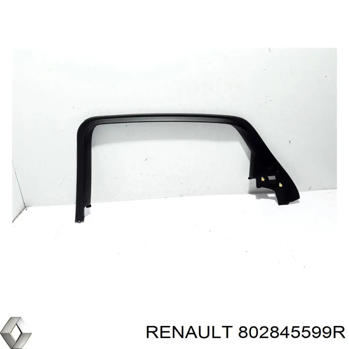 802845599R Renault (RVI) 