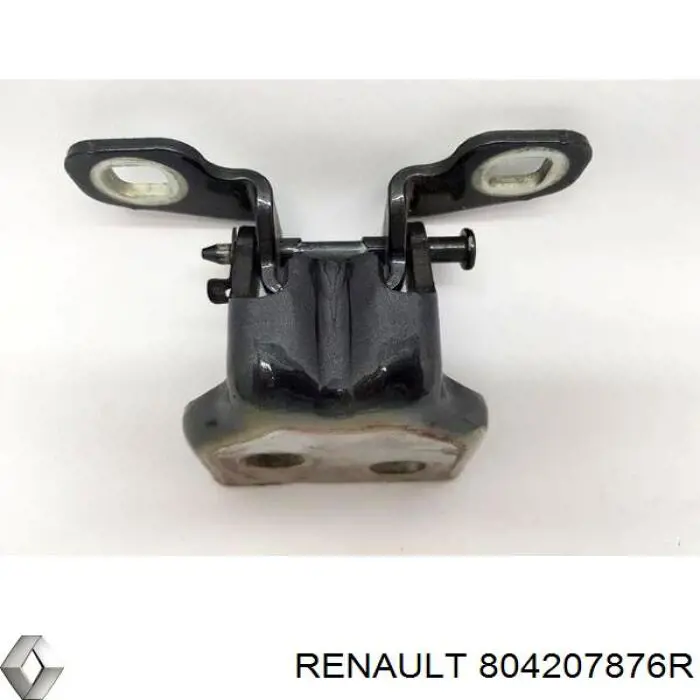 804207876R Renault (RVI) Gozno da porta dianteira