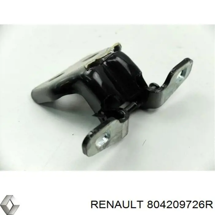 804209726R Renault (RVI) Gozno da porta dianteira