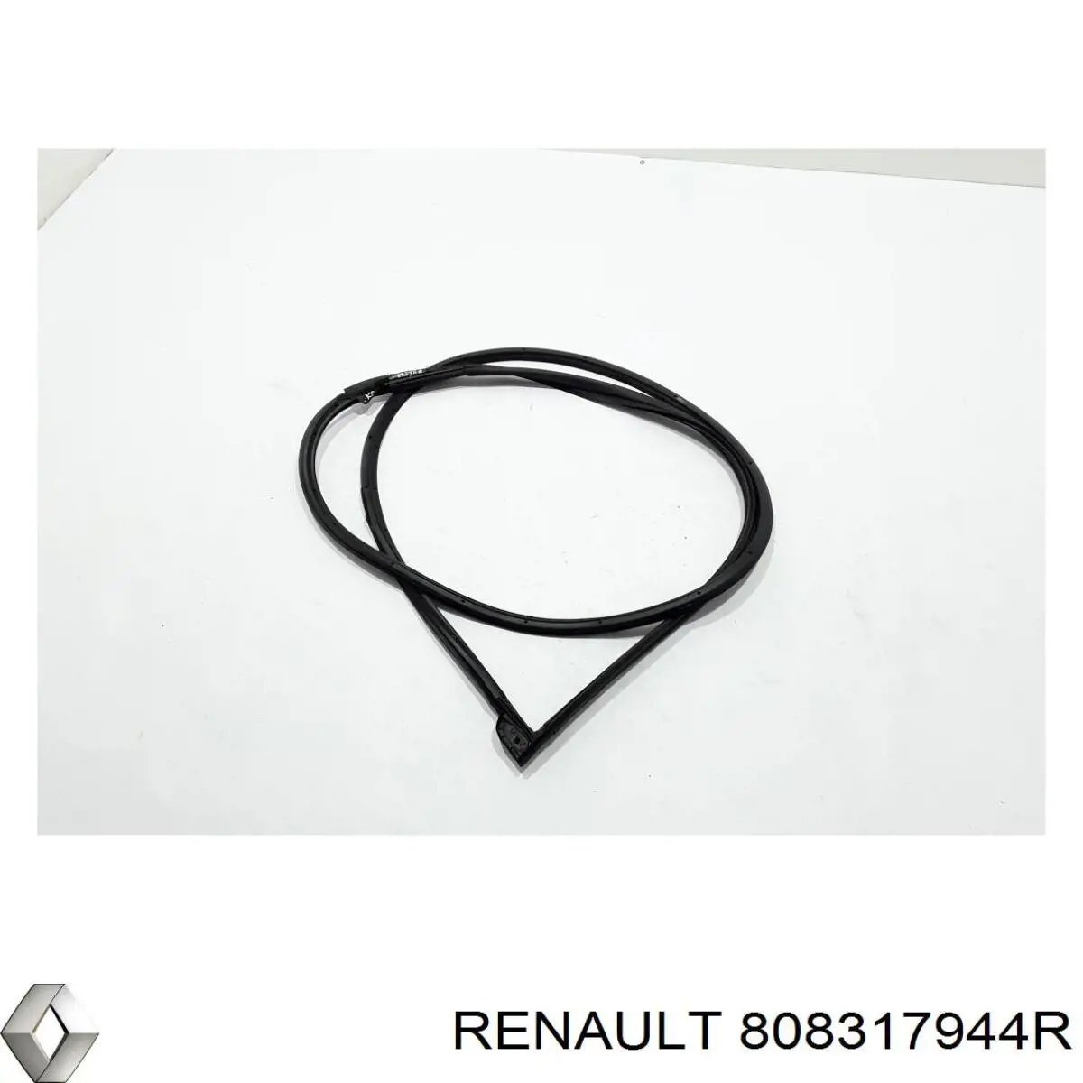 808317944R Renault (RVI) Compactador da porta dianteira esquerda (na porta)