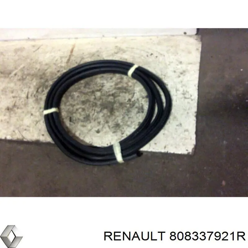 808337070R Renault (RVI) Compactador da porta dianteira esquerda (na carroçaria)