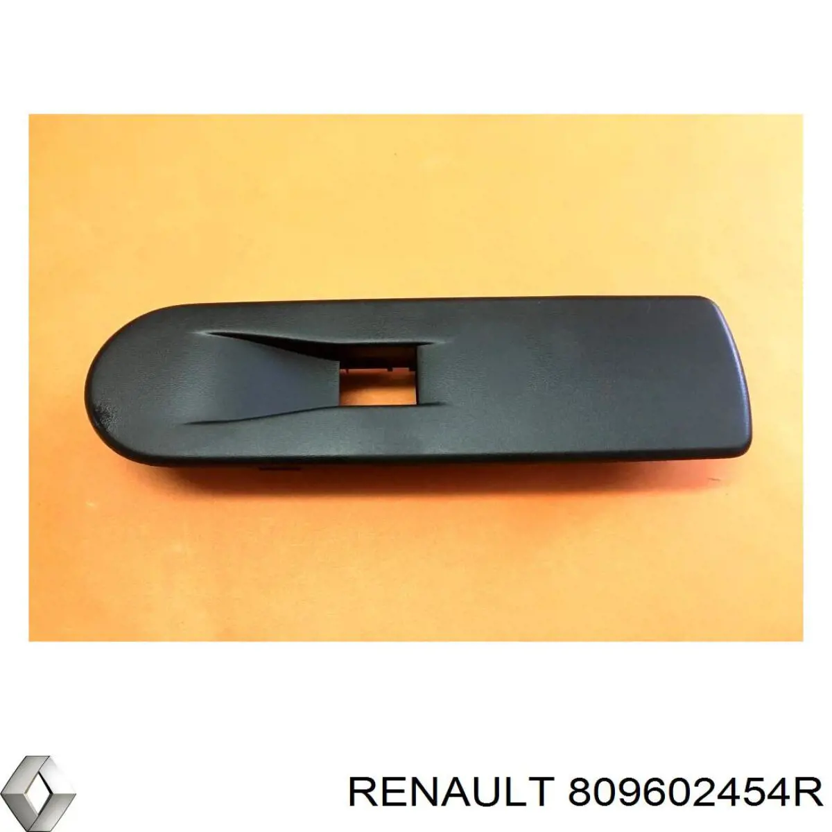  Renault (RVI) 809602454R preço, a partir de 30,70 USD