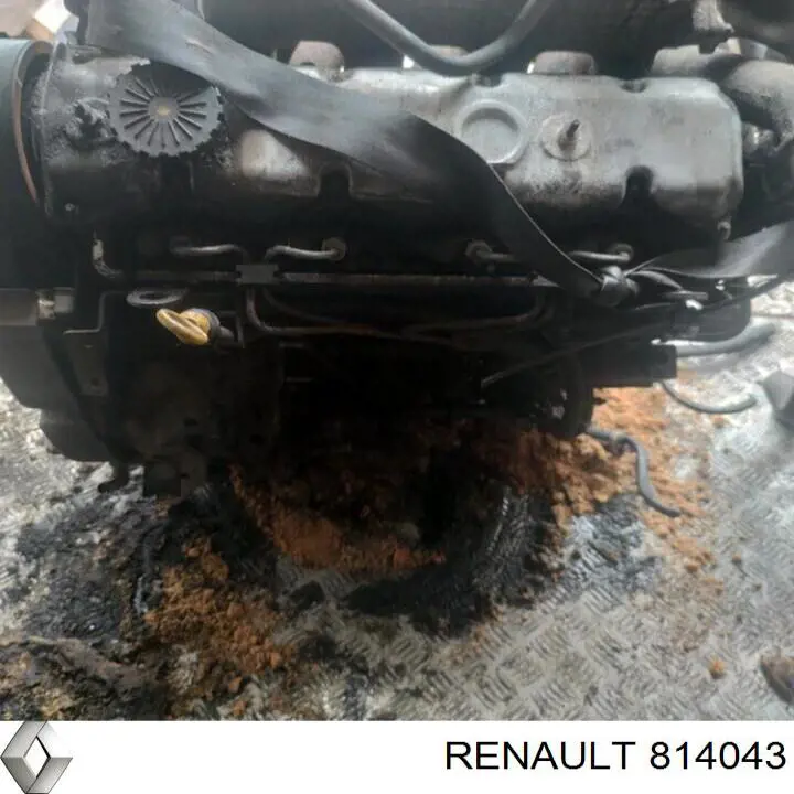 814043 Renault (RVI) Motor montado
