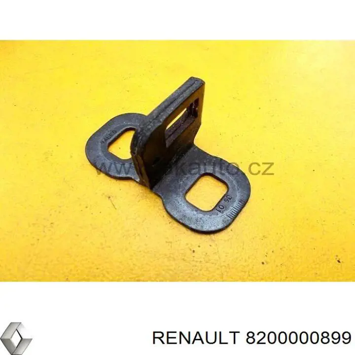 8200000899 Renault (RVI) Gozno de garra (parte complementar) de fecho da porta traseira (de bagageiro, 3ª/5ª)
