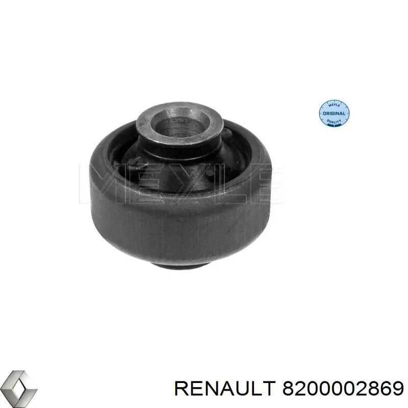 8200002869 Renault (RVI) Bloco silencioso dianteiro do braço oscilante inferior