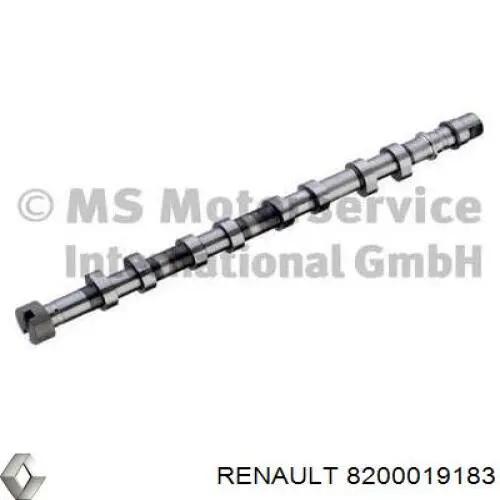 8200019183 Renault (RVI) Árvore distribuidora de motor de escape