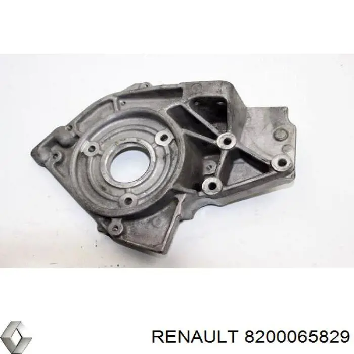  8200065829 Renault (RVI)