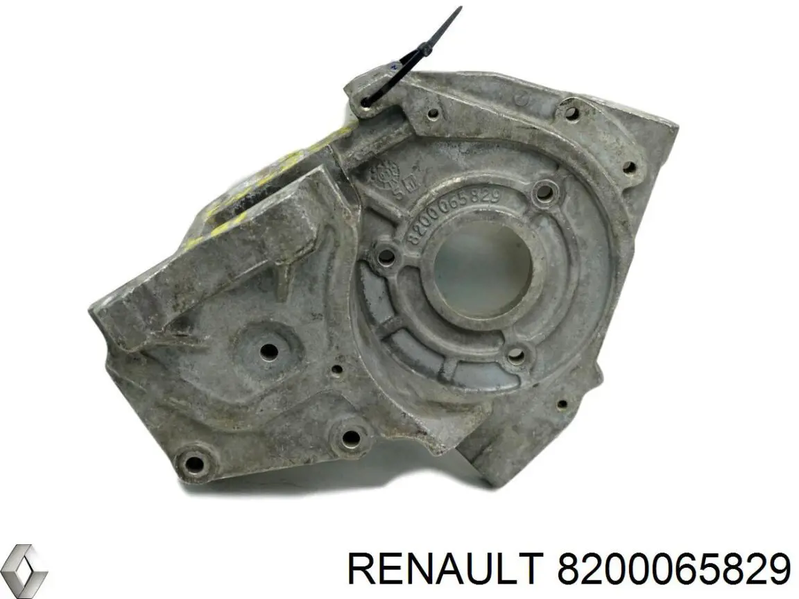 8200065829 Renault (RVI) 