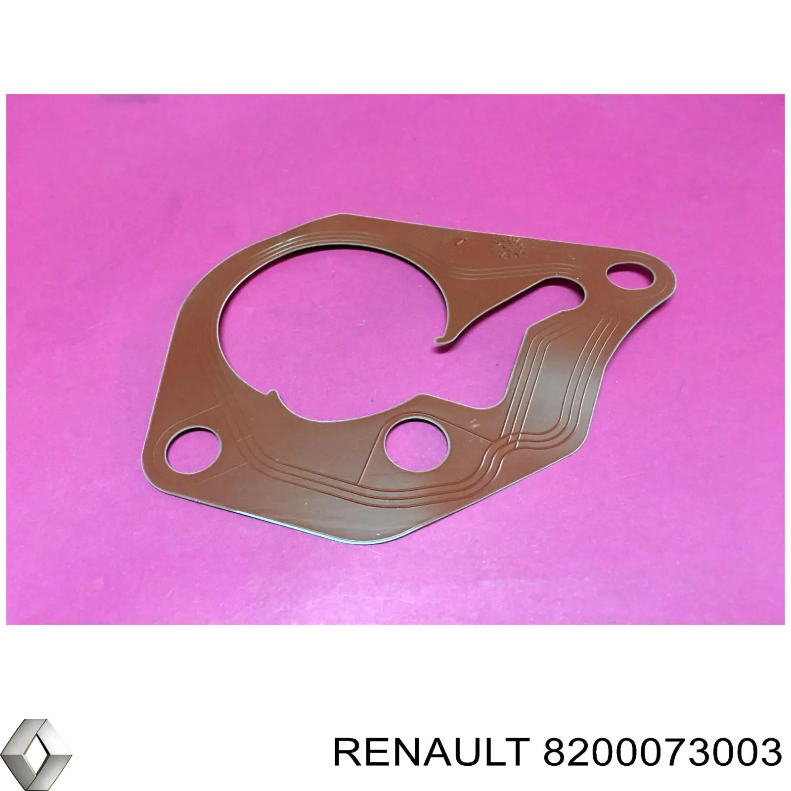 Compre 8200073003 Renault (RVI) Vedante de bomba de vácuo