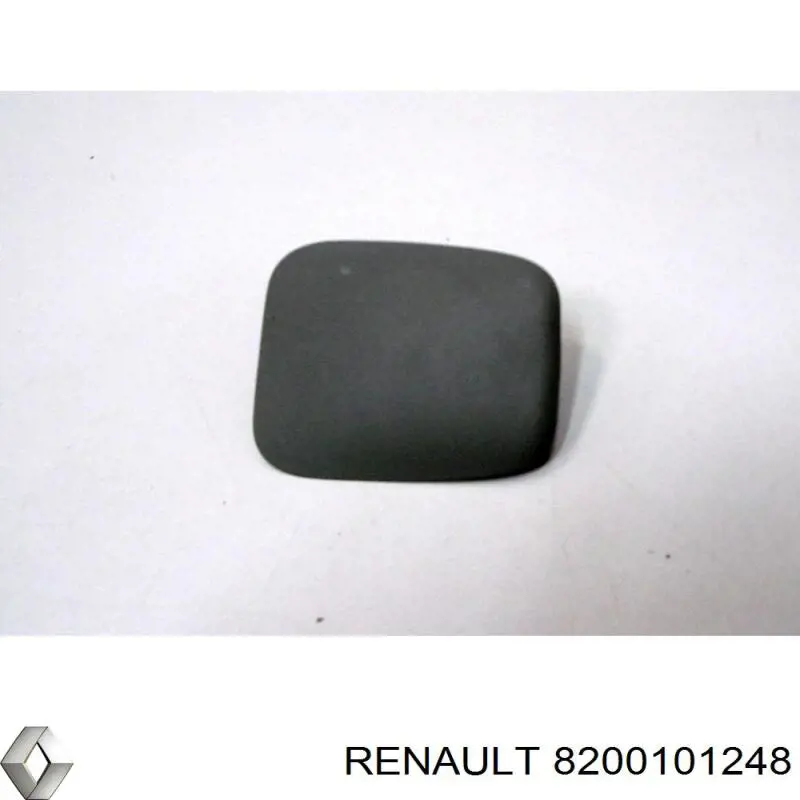 8200101248 Renault (RVI) 