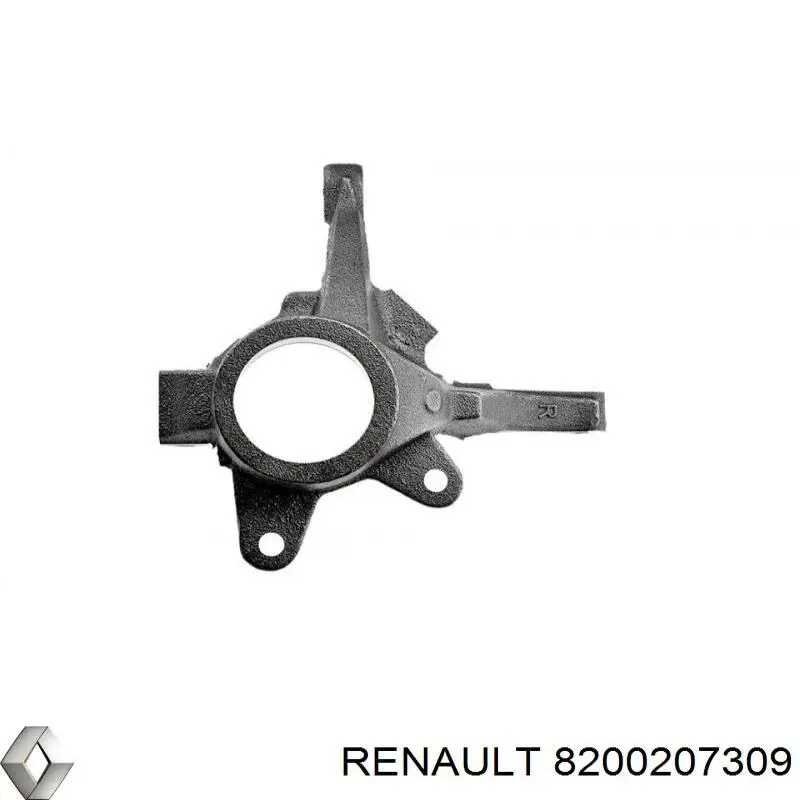 8200207309 Renault (RVI) Pino moente (extremidade do eixo) dianteiro direito