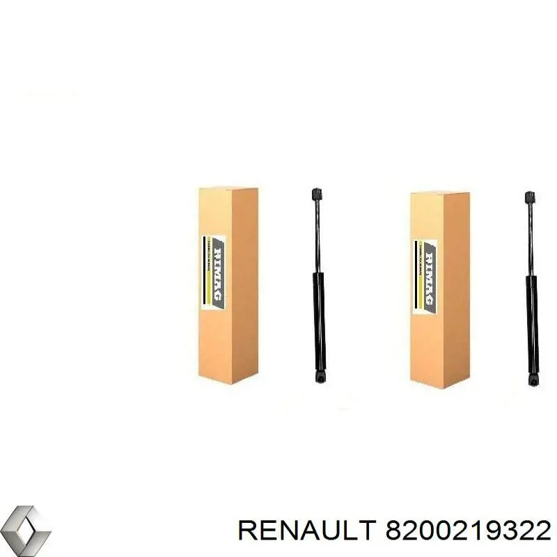 Compre 8200219322 Renault (RVI) Amortecedor de tampa de porta-malas (de 3ª/5ª porta traseira)