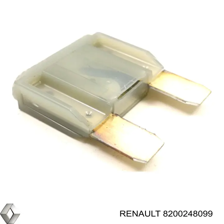 8200248099 Renault (RVI) 