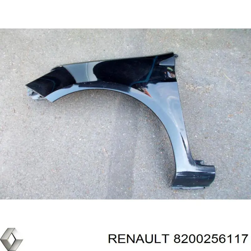 8200256117 Renault (RVI) Pára-lama dianteiro esquerdo