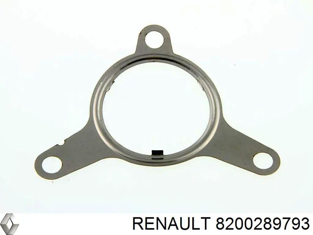 Compre 8200289793 Renault (RVI) Vedante de válvula EGR de recirculação