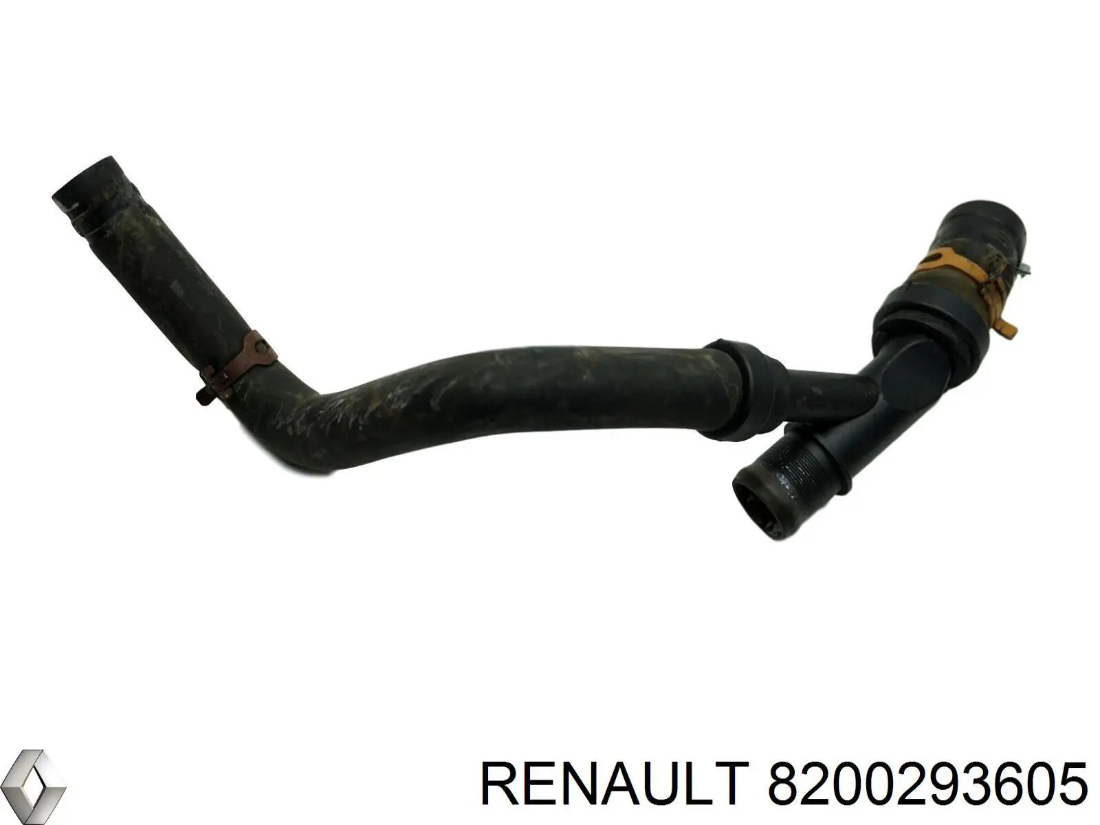 Compre 8200293605 Renault (RVI) Mangueira (cano derivado) inferior do radiador de esfriamento