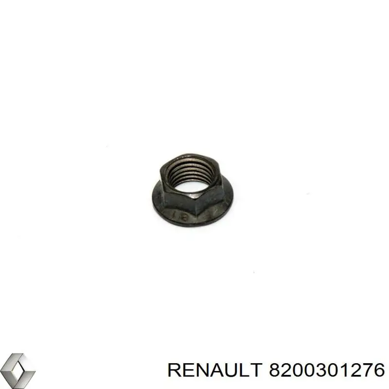 8200301276 Renault (RVI) 