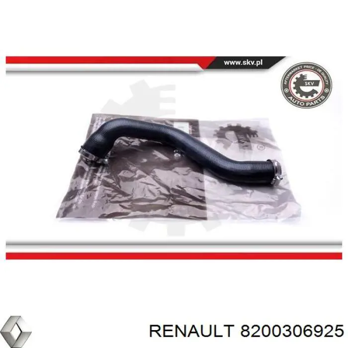 Compre 8200306925 Renault (RVI) Cano derivado de ar, saída de turbina (supercompressão)