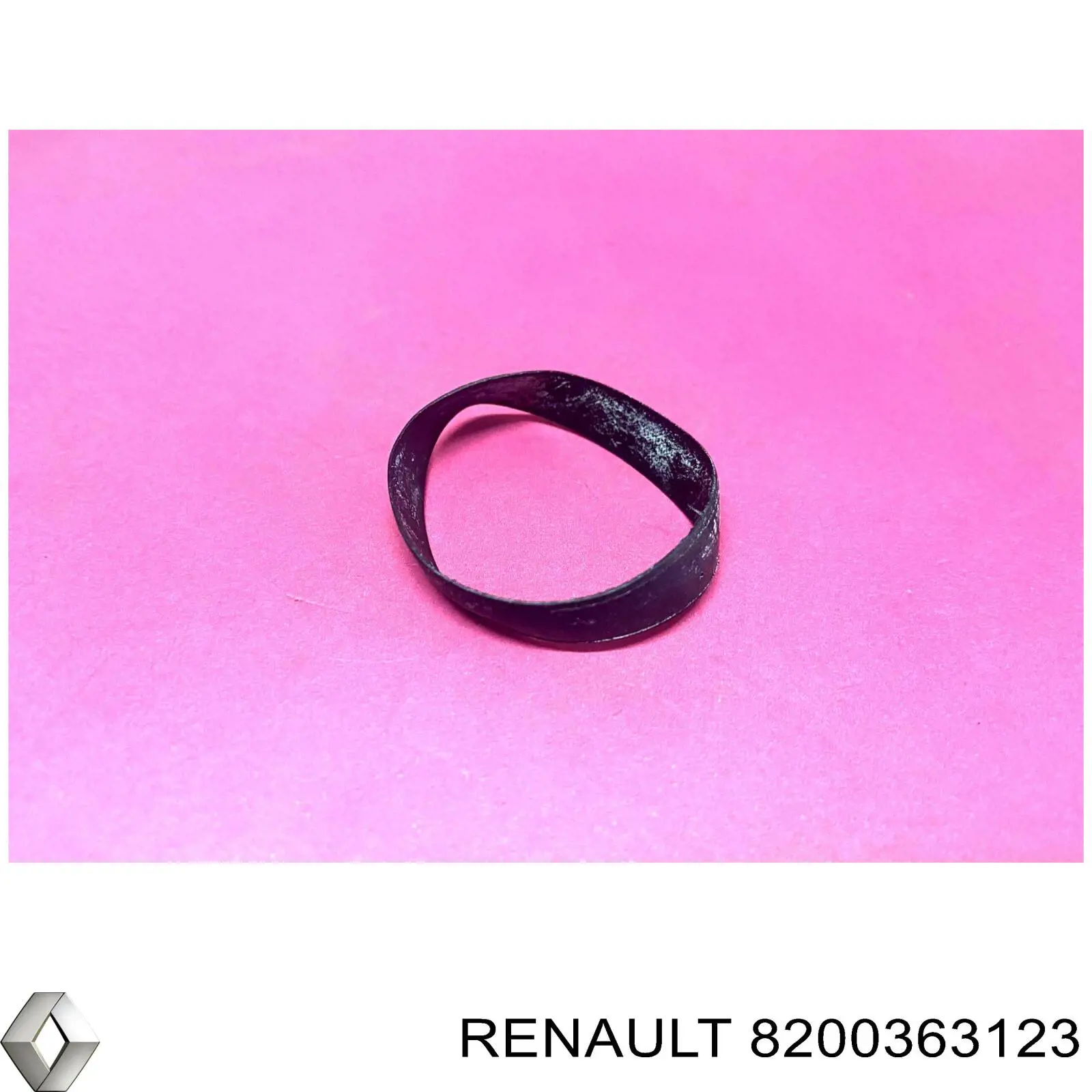 8200363123 Renault (RVI) Vedante de turbina de ar comprimido, admissão