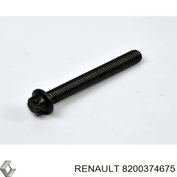 8200374675 Renault (RVI) Parafuso de tampa de folha inserida principal