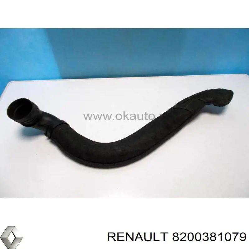 Cano derivado de ar, entrada de filtro de ar Renault (RVI) 8200381079 preço, a partir de 54,81 USD