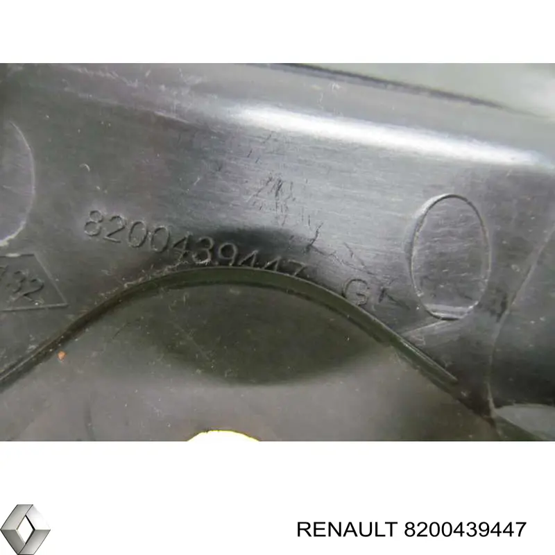 8200439447 Renault (RVI) Tampão lateral de bofes