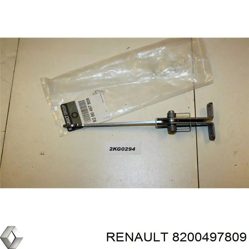 8200497809 Renault (RVI) Limitador traseiro de abertura de porta