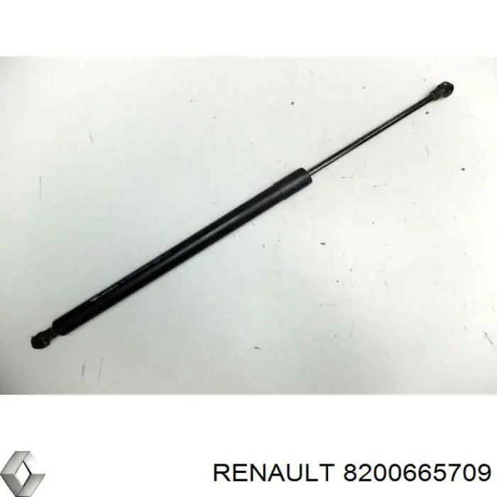 8200665709 Renault (RVI) Amortecedor de tampa de porta-malas (de 3ª/5ª porta traseira)