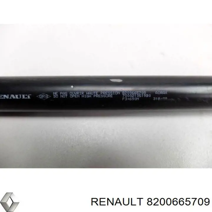 Compre 8200665709 Renault (RVI) Amortecedor de tampa de porta-malas (de 3ª/5ª porta traseira)