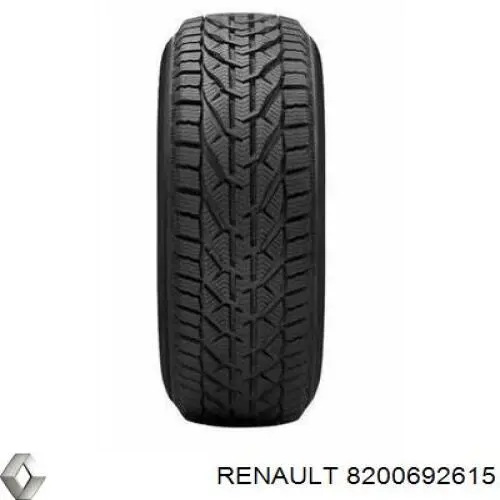 Compre 8200692615 Renault (RVI) 