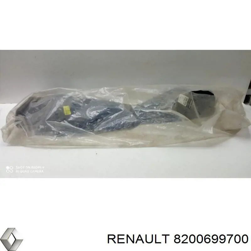 8200699700 Renault (RVI) Guarda-barras do pára-lama traseiro esquerdo