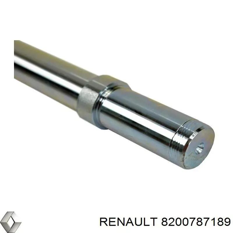 Compre RH142051 Reinhoch Parafuso de fixação de braço oscilante dianteiro