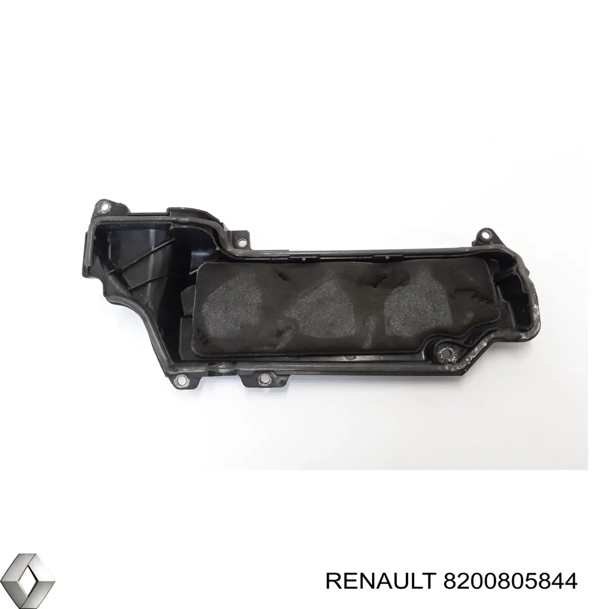 8200805844 Renault (RVI) Tampa de motor decorativa