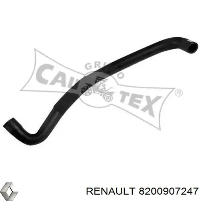 Compre 8200907247 Renault (RVI) Mangueira (cano derivado) inferior do radiador de esfriamento