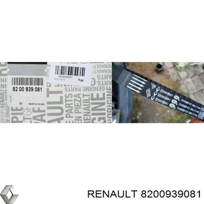 8200939081 Renault (RVI) Correia do mecanismo de distribuição de gás