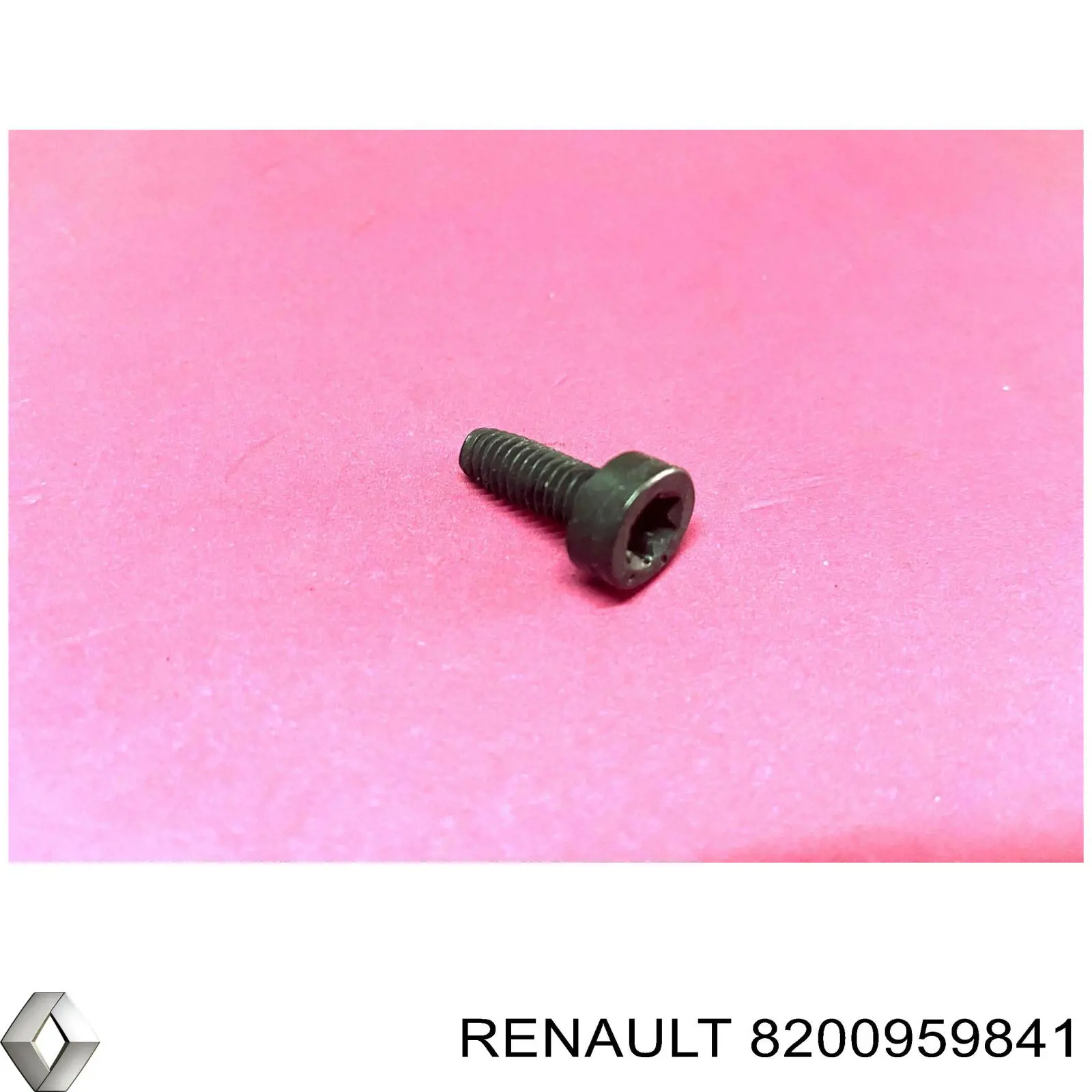 8200959841 Renault (RVI) Parafuso (porca) de fixação