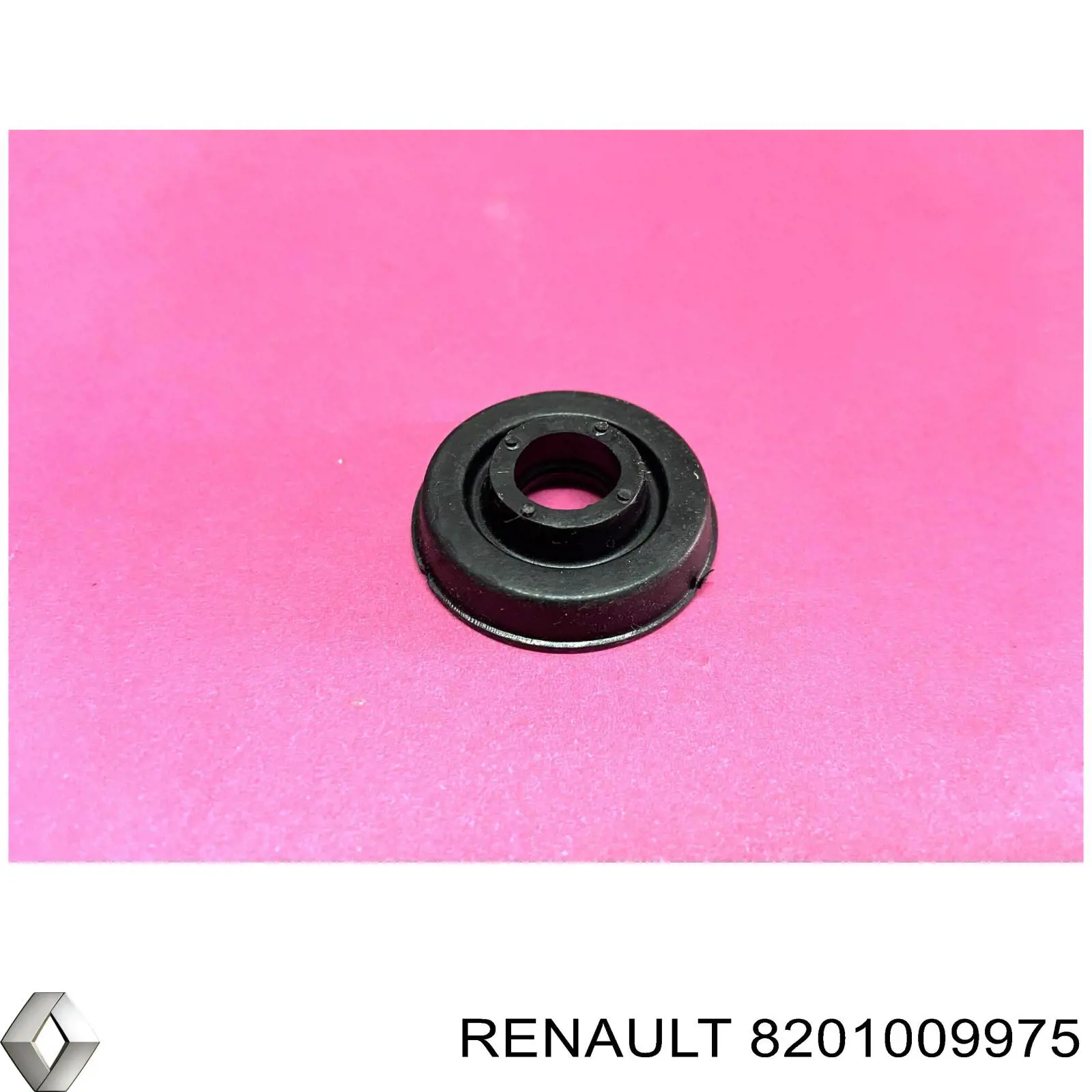8201009975 Renault (RVI) Arruela de parafuso da tampa de válvulas