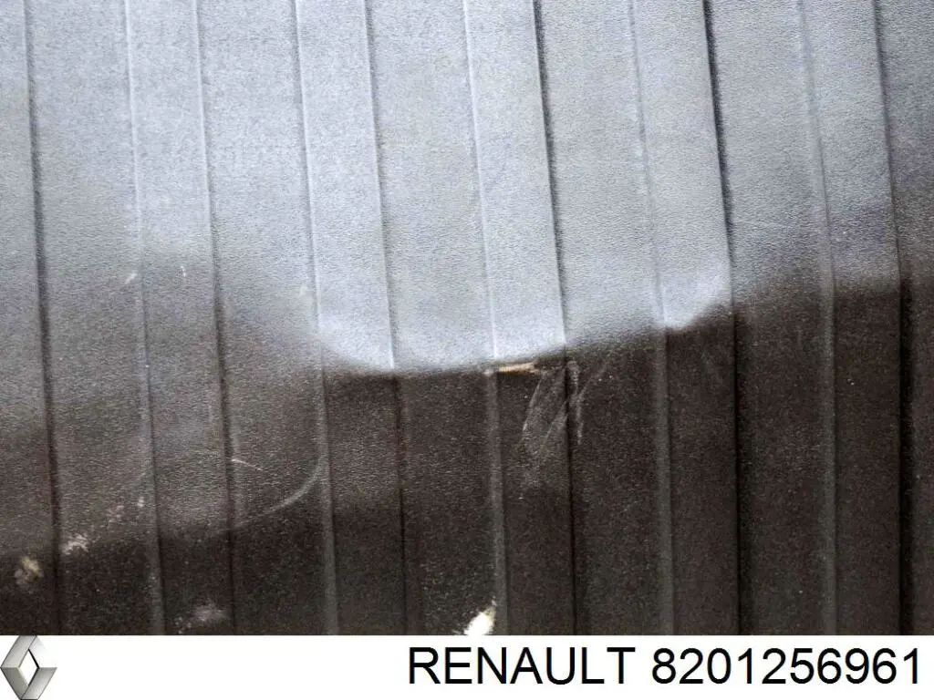 Compre 8201256961 Renault (RVI) Tapete da seção de bagagem