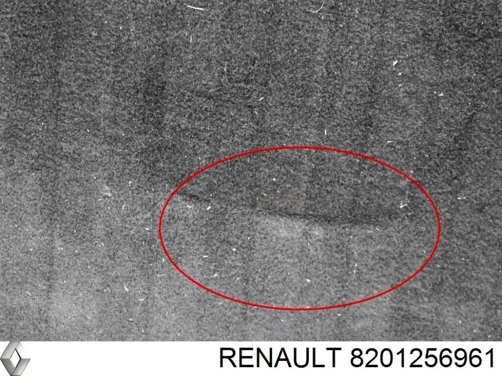 Compre 8201256961 Renault (RVI) Tapete da seção de bagagem