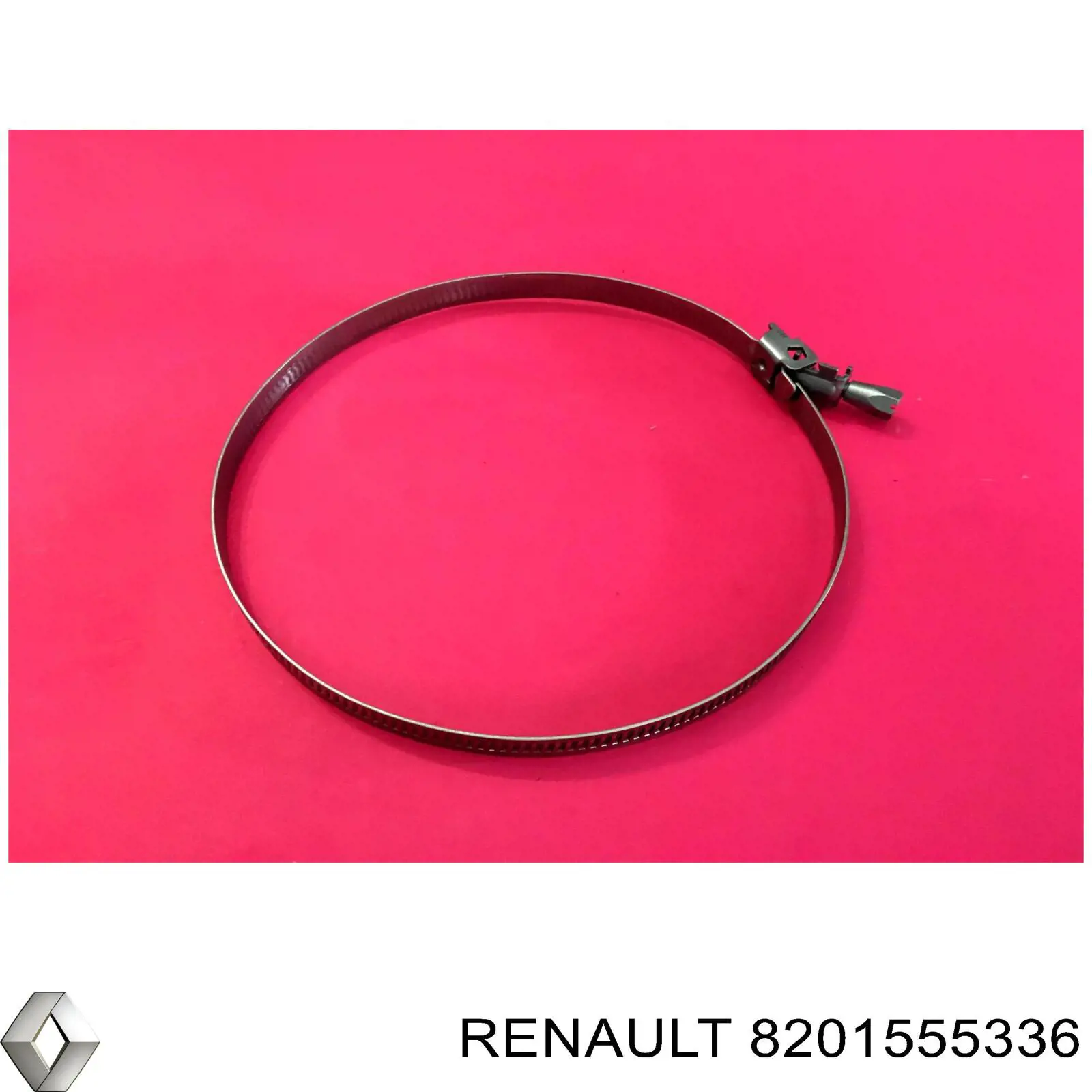 8201555336 Renault (RVI) Braçadeira de caixa de filtro de combustível