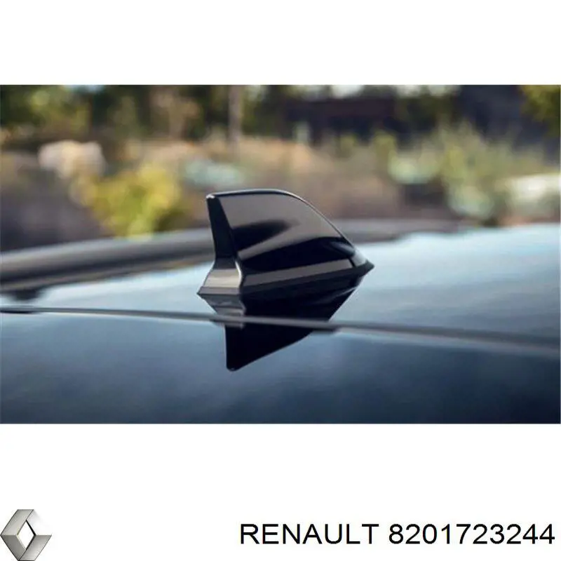 8201723244 Renault (RVI) Malha da seção de bagagem