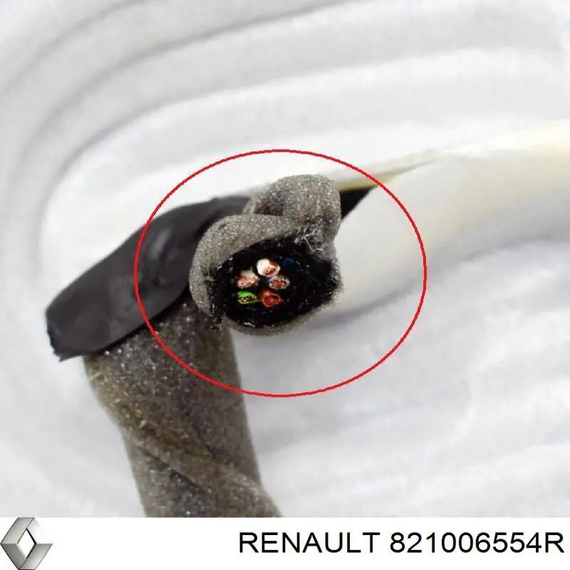 821006554R Renault (RVI) Porta traseira direita