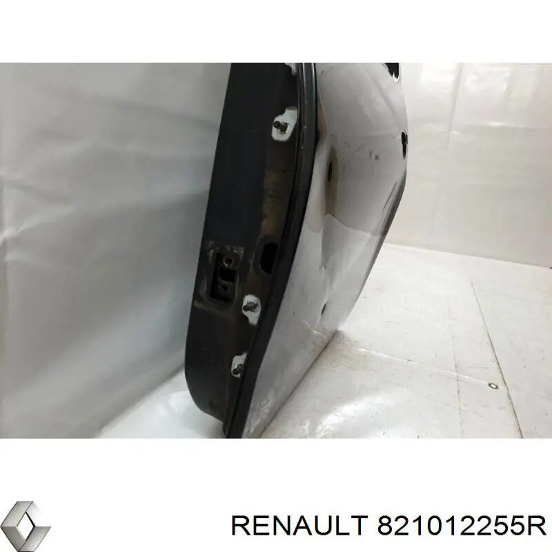 821012255R Renault (RVI) Porta traseira esquerda