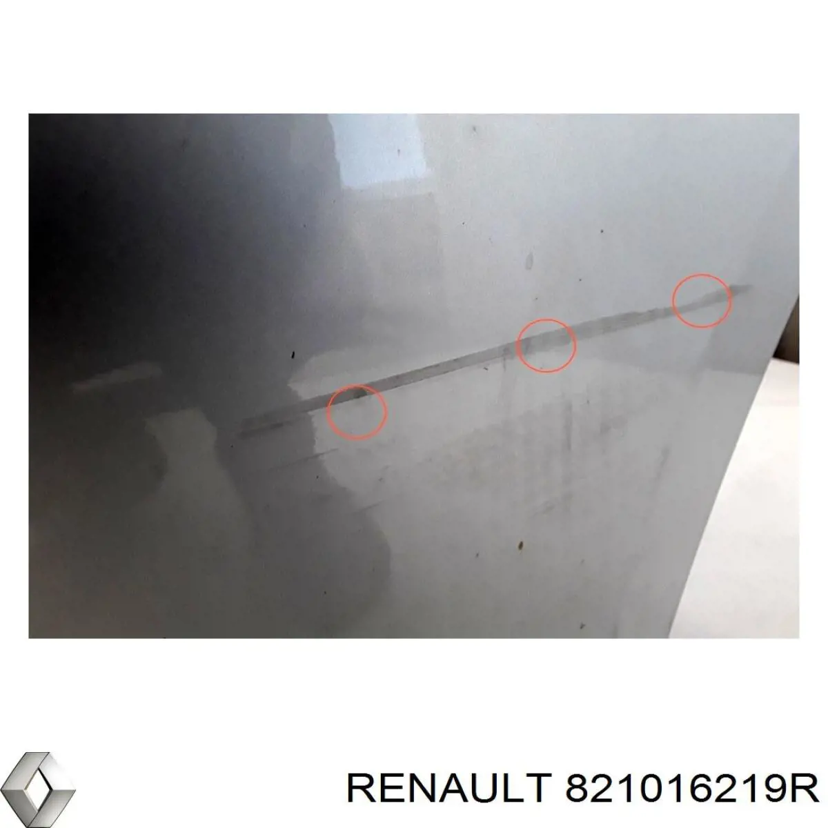 Compre 821016219R Renault (RVI) 