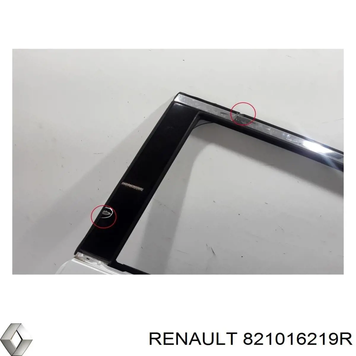  821016219R Renault (RVI)