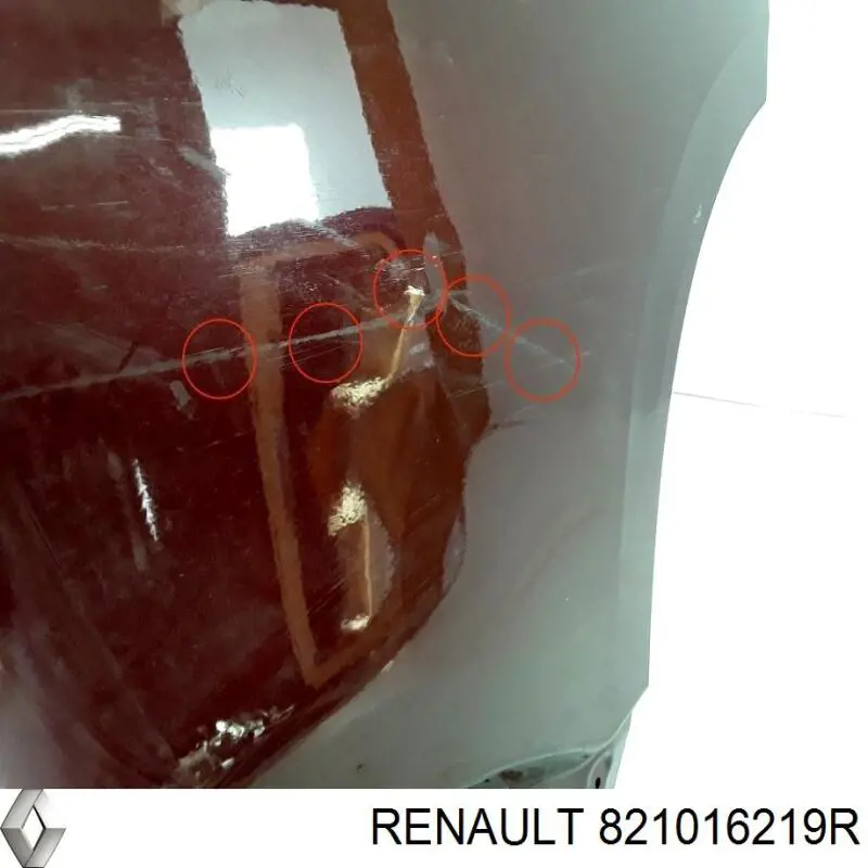  Renault (RVI) 821016219R