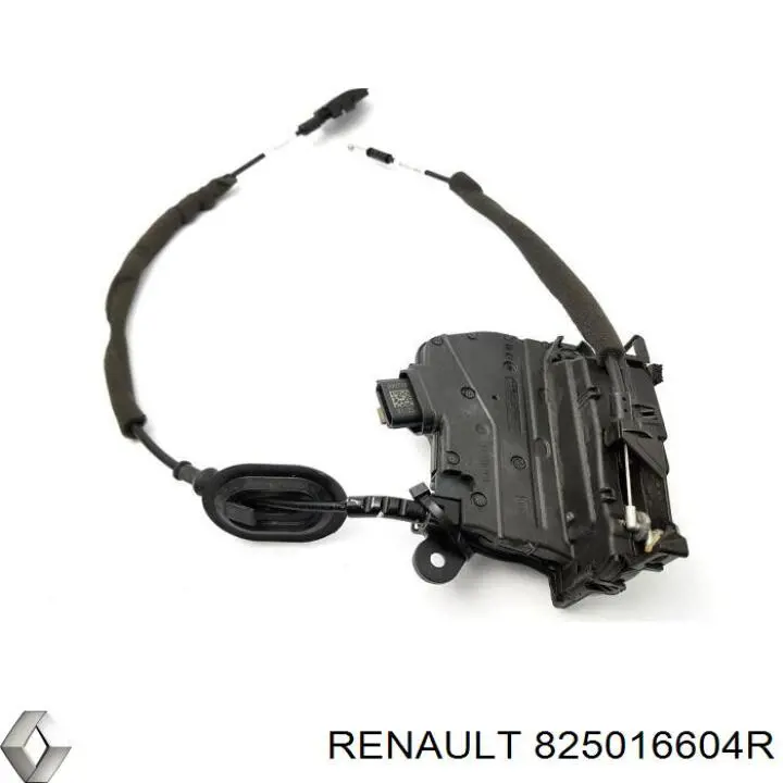 825016604R Renault (RVI) 