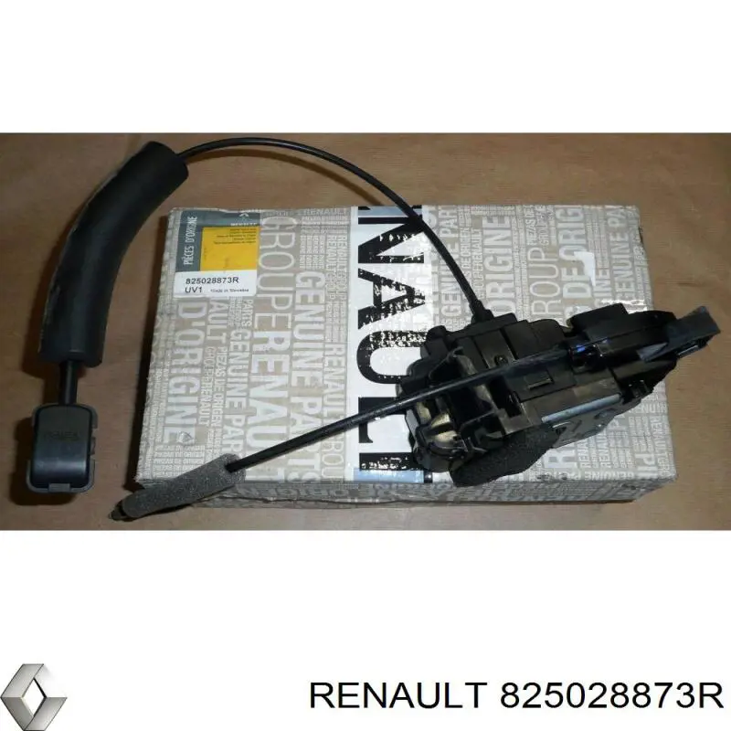 825028873R Renault (RVI) Fecho da porta traseira direita